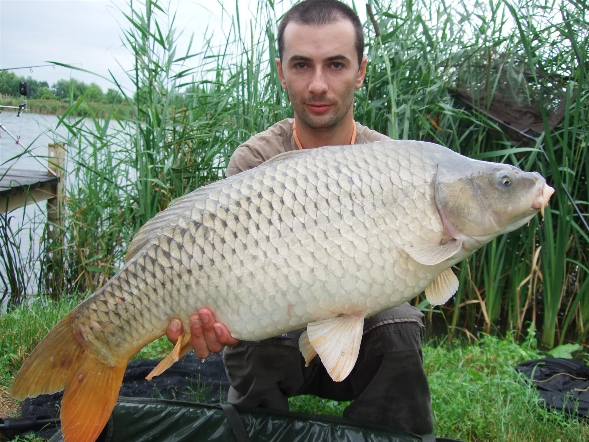 Nagykallo 2012 - picture-010.jpg